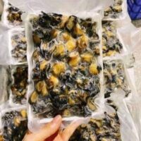 Ốc Việt Nam sơ chế sẵn ( Khay)